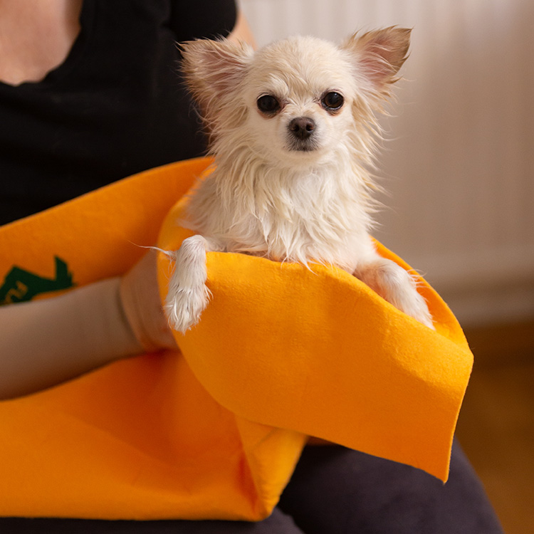 Håndklæde til hunden