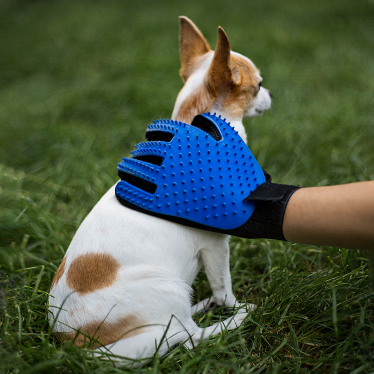 Børstehandske til hund og kat