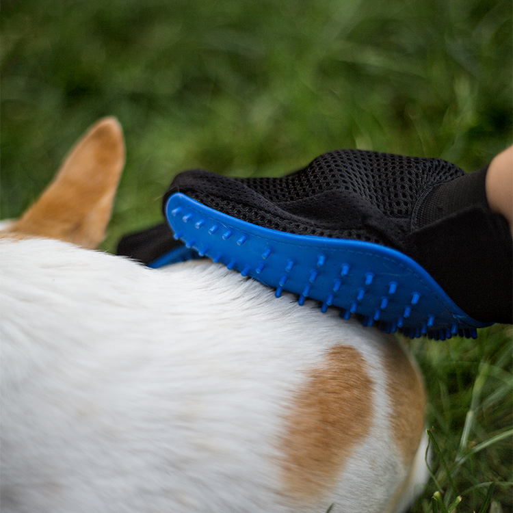 Børstehandske til hund og kat