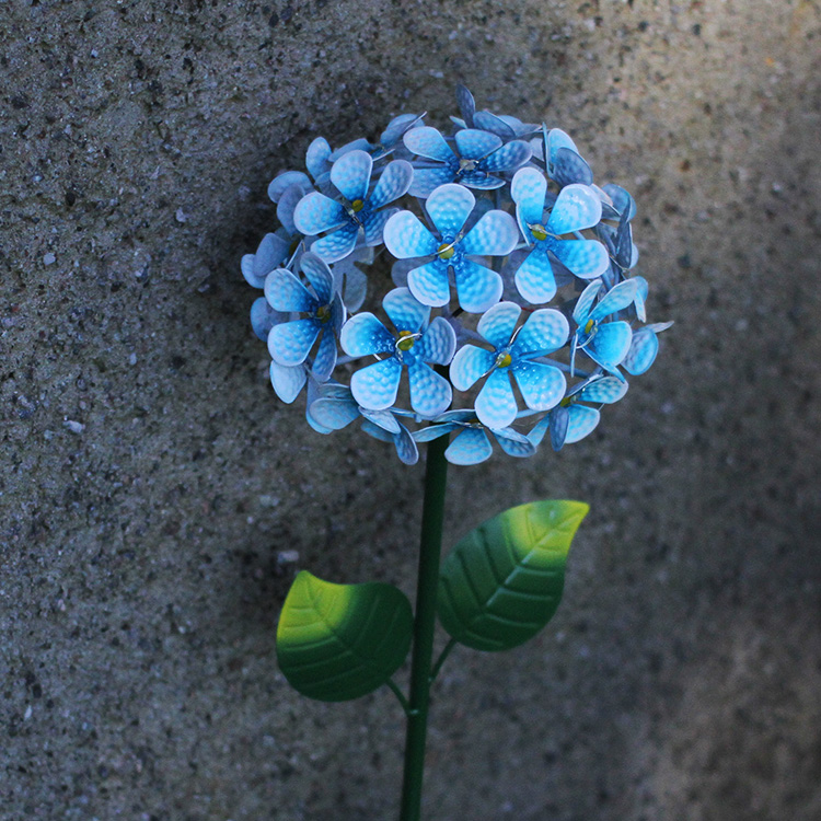 Solcelleblomst på spyd, Hortensia