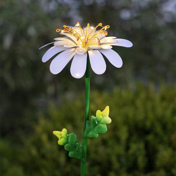 Solcelleblomst på spyd, Daisy